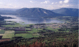 Salmon Arm from Mt Ida, looking at Bastion Mtn.